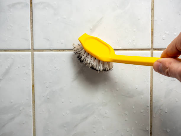 Best Mold Testing and Inspection Services in Rural Retreat, VA